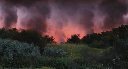 afire_frame_1739870243.340148.webp