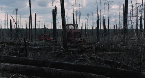 afire_frame_1739870262.5003457.webp