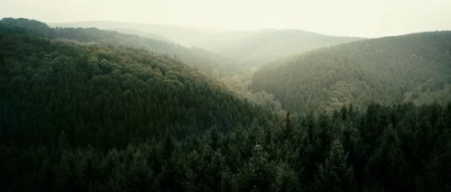 antichrist_frame_1738861938.8893309.webp