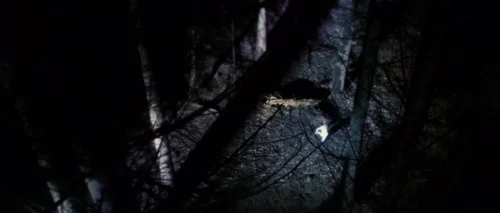 antichrist_frame_1738861939.667418.webp