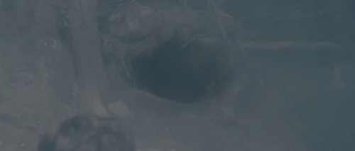 antichrist_frame_1738861944.3669589.webp