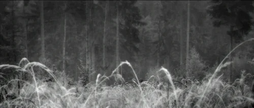 antichrist_frame_1738861947.314786.webp
