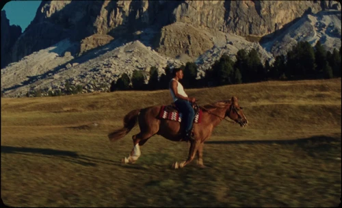 antslive___number_one_candidate_official_music_video_payday_records_frame_86.webp