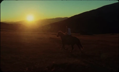 antslive___number_one_candidate_official_music_video_payday_records_frame_88.webp