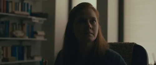 arrival_frame_1738728923.8065188.webp
