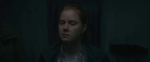 arrival_frame_1738728924.8492641.webp