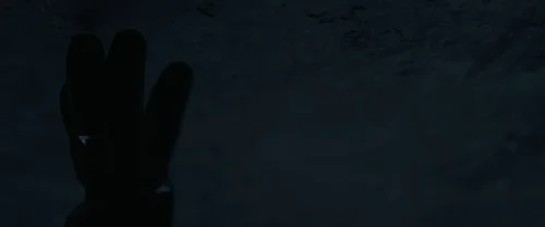 arrival_frame_1738728925.673374.webp