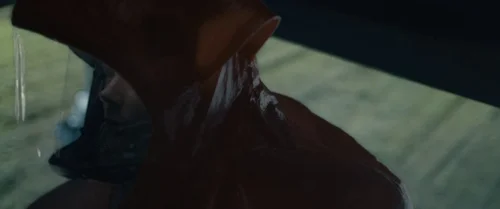 arrival_frame_1738728925.8895922.webp