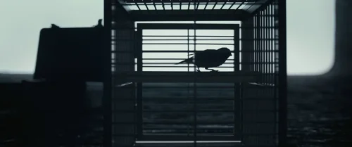 arrival_frame_1738728926.5903063.webp