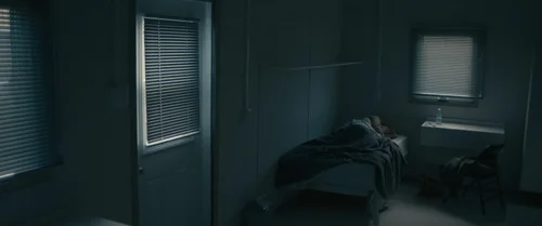 arrival_frame_1738728931.742878.webp