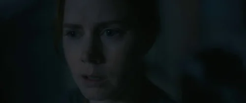 arrival_frame_1738728935.1475468.webp