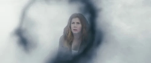 arrival_frame_1738728935.989997.webp