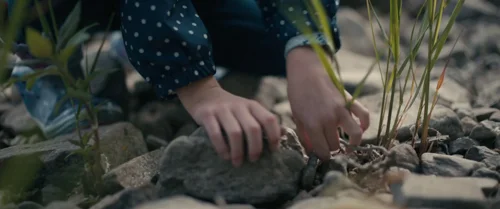 arrival_frame_1738728936.1881695.webp
