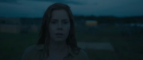 arrival_frame_1738728937.9660523.webp