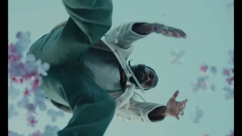 big_sean_-_harder_than_my_demons_(official_music_video)_frame_110.11.webp