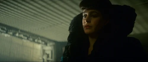 blade_runner_frame_1739044509.621379.webp