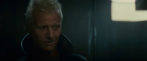 blade_runner_frame_1739044521.160304.webp