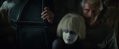 blade_runner_frame_1739044521.9651475.webp