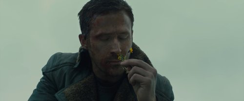 blade_runner_2049_frame_1739044378.9472775.jpg