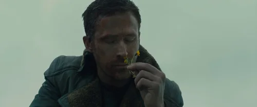 blade_runner_2049_frame_1739044378.9472775.webp
