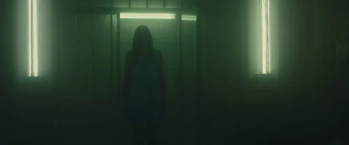 blade_runner_2049_frame_1739044381.9597273.webp
