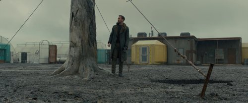 blade_runner_2049_frame_1739044391.0022879.jpg