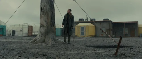 blade_runner_2049_frame_1739044391.0022879.webp