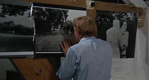 blow-up_frames_frame_225.webp