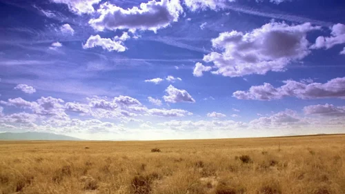 breaking_bad_frames_s3e3_frame_110.webp