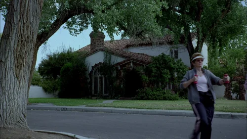 breaking_bad_frames_s1e4_frame_41.webp