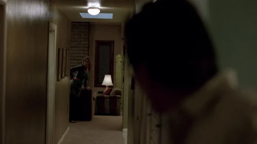 breaking_bad_frames_s1e6_frame_95.webp