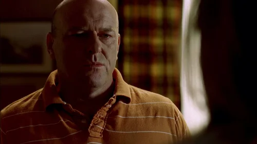 breaking_bad_frames_s2e1_frame_100.webp