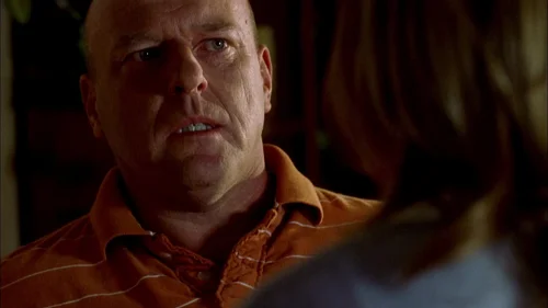 breaking_bad_frames_s2e1_frame_105.webp
