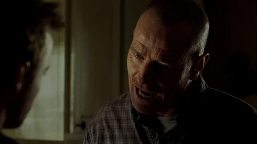 breaking_bad_frames_s2e1_frame_57.webp