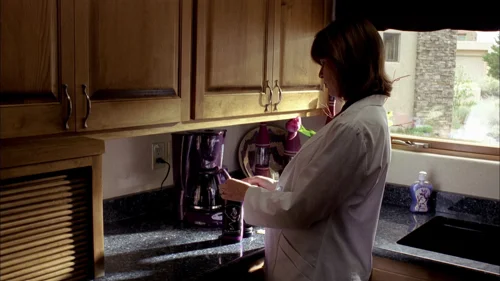 breaking_bad_frames_s2e1_frame_62.webp