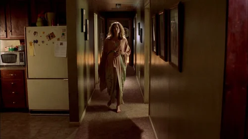 breaking_bad_frames_s2e1_frame_82.webp