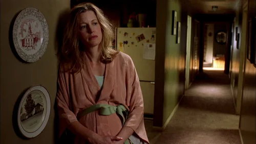 breaking_bad_frames_s2e1_frame_84.webp