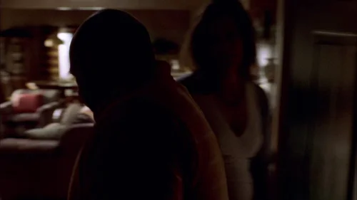 breaking_bad_frames_s2e1_frame_95.webp