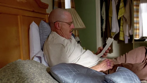 breaking_bad_frames_s2e10_frame_14.webp