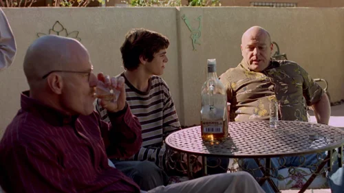 breaking_bad_frames_s2e10_frame_34.webp