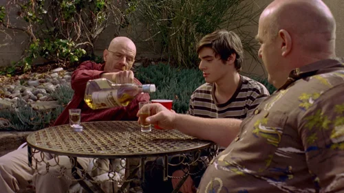 breaking_bad_frames_s2e10_frame_37.webp