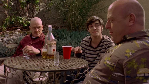 breaking_bad_frames_s2e10_frame_39.webp