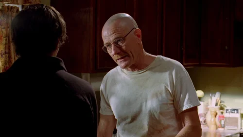 breaking_bad_frames_s2e10_frame_87.webp