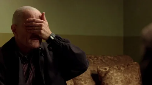 breaking_bad_frames_s2e11_frame_34.webp