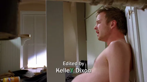 breaking_bad_frames_s2e12_frame_21.webp