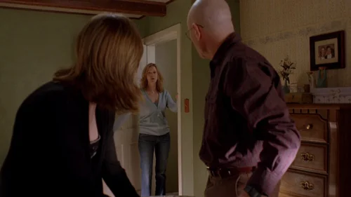 breaking_bad_frames_s2e12_frame_57.webp