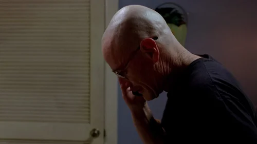 breaking_bad_frames_s2e13_frame_48.webp