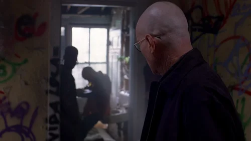 breaking_bad_frames_s2e13_frame_63.webp