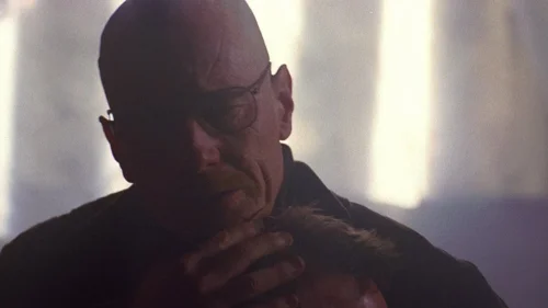 breaking_bad_frames_s2e13_frame_68.webp