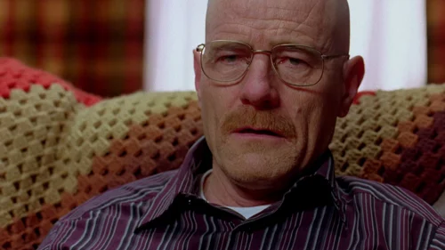 breaking_bad_frames_s2e13_frame_97.webp